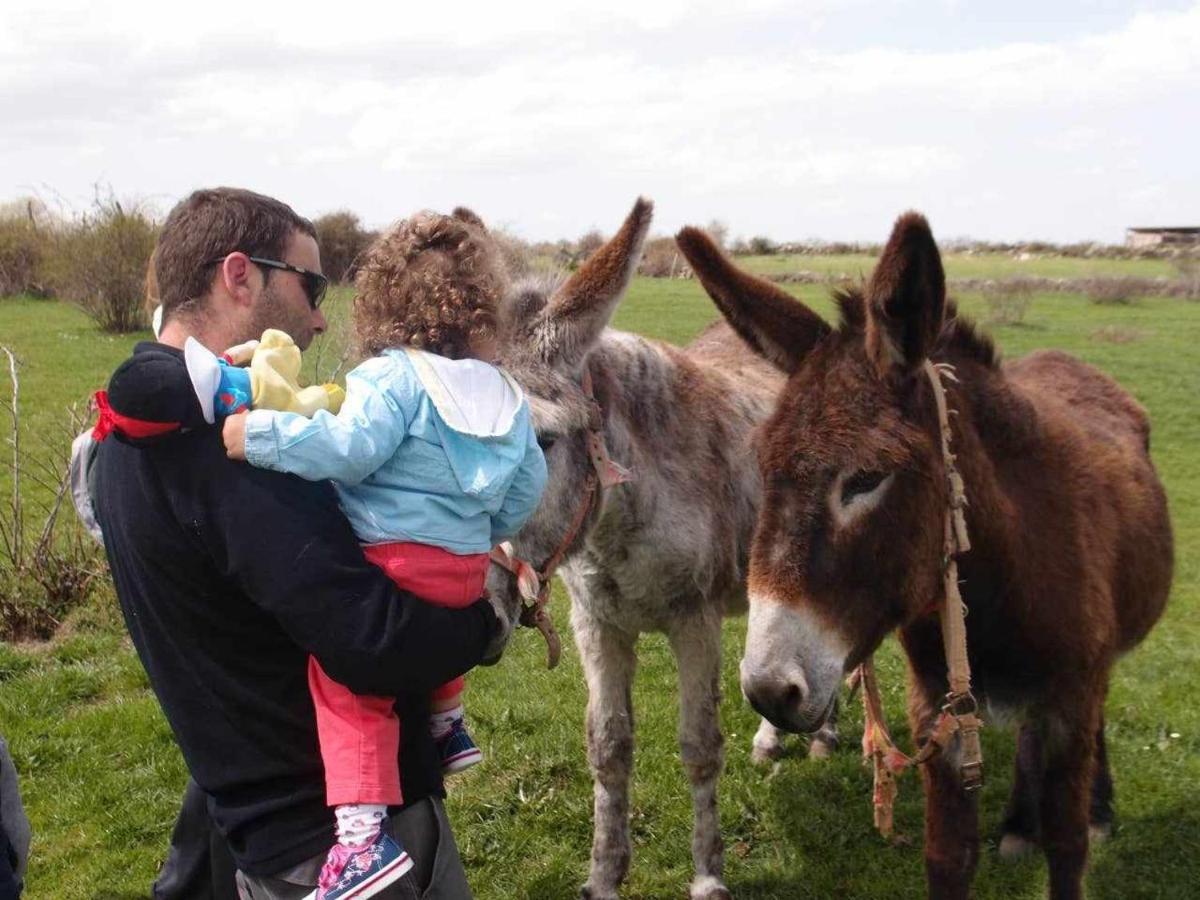 Agroturismo El Mirador De La Cigueena Cabanillas del Monte Екстериор снимка