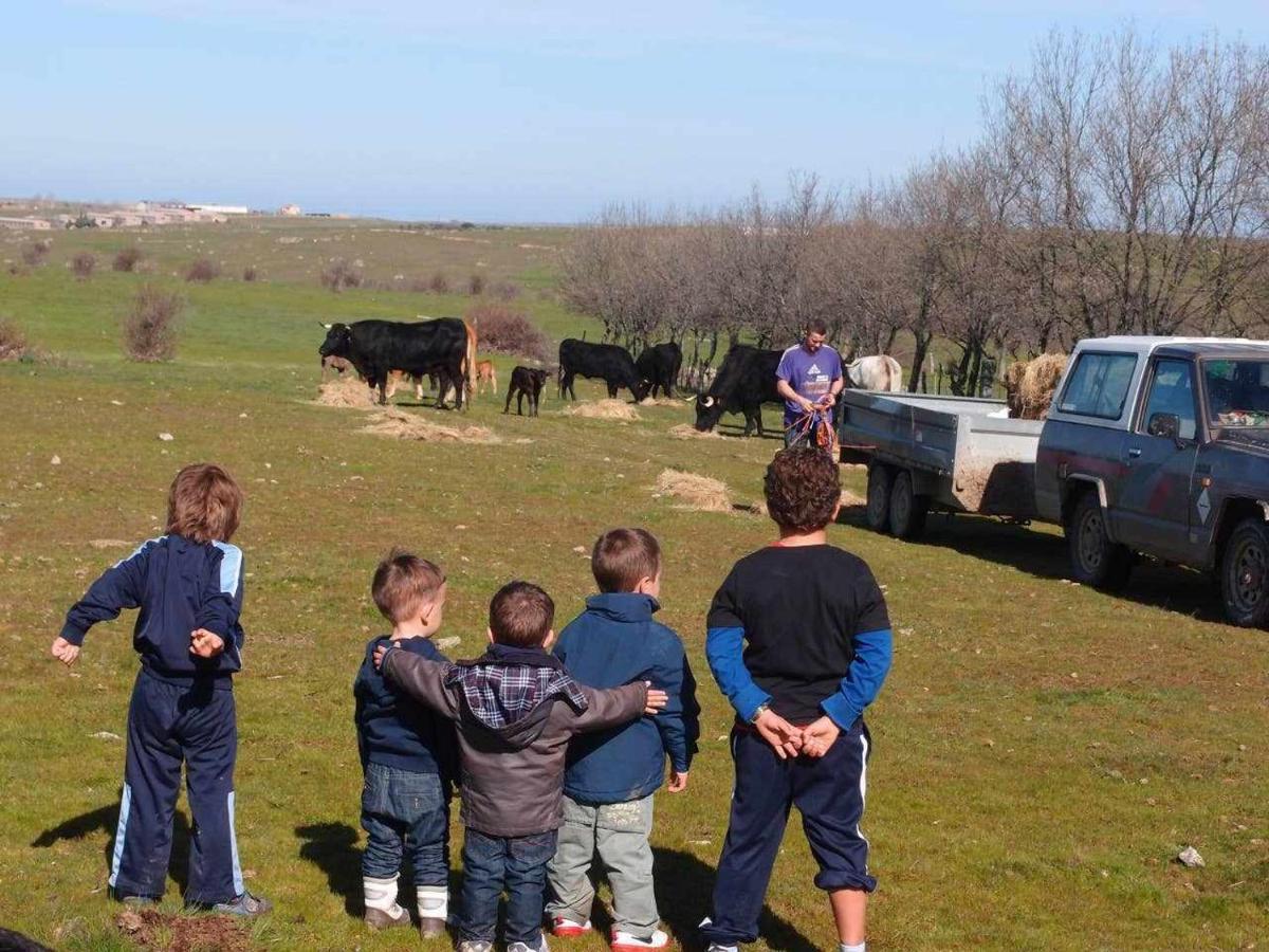 Agroturismo El Mirador De La Cigueena Cabanillas del Monte Екстериор снимка