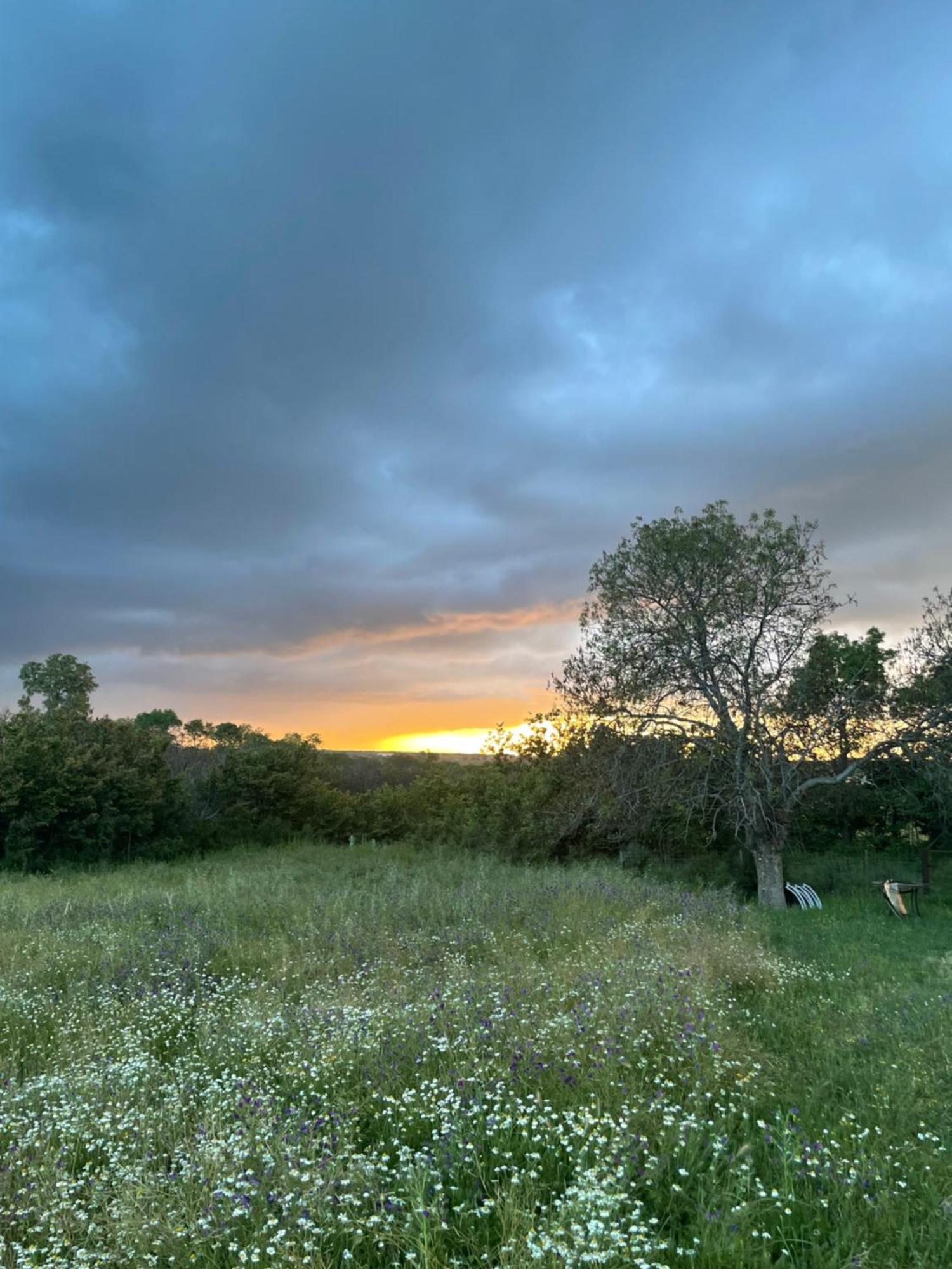 Agroturismo El Mirador De La Cigueena Cabanillas del Monte Екстериор снимка